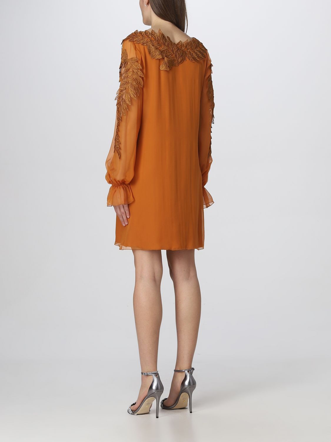 Embroidered Mini Dress Aline