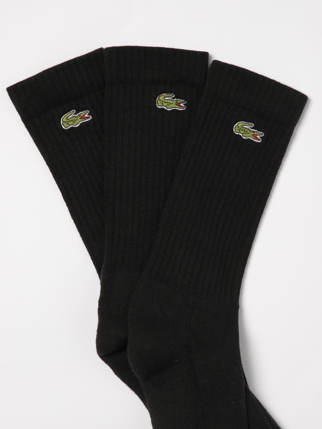 Crew Socks 3Pack