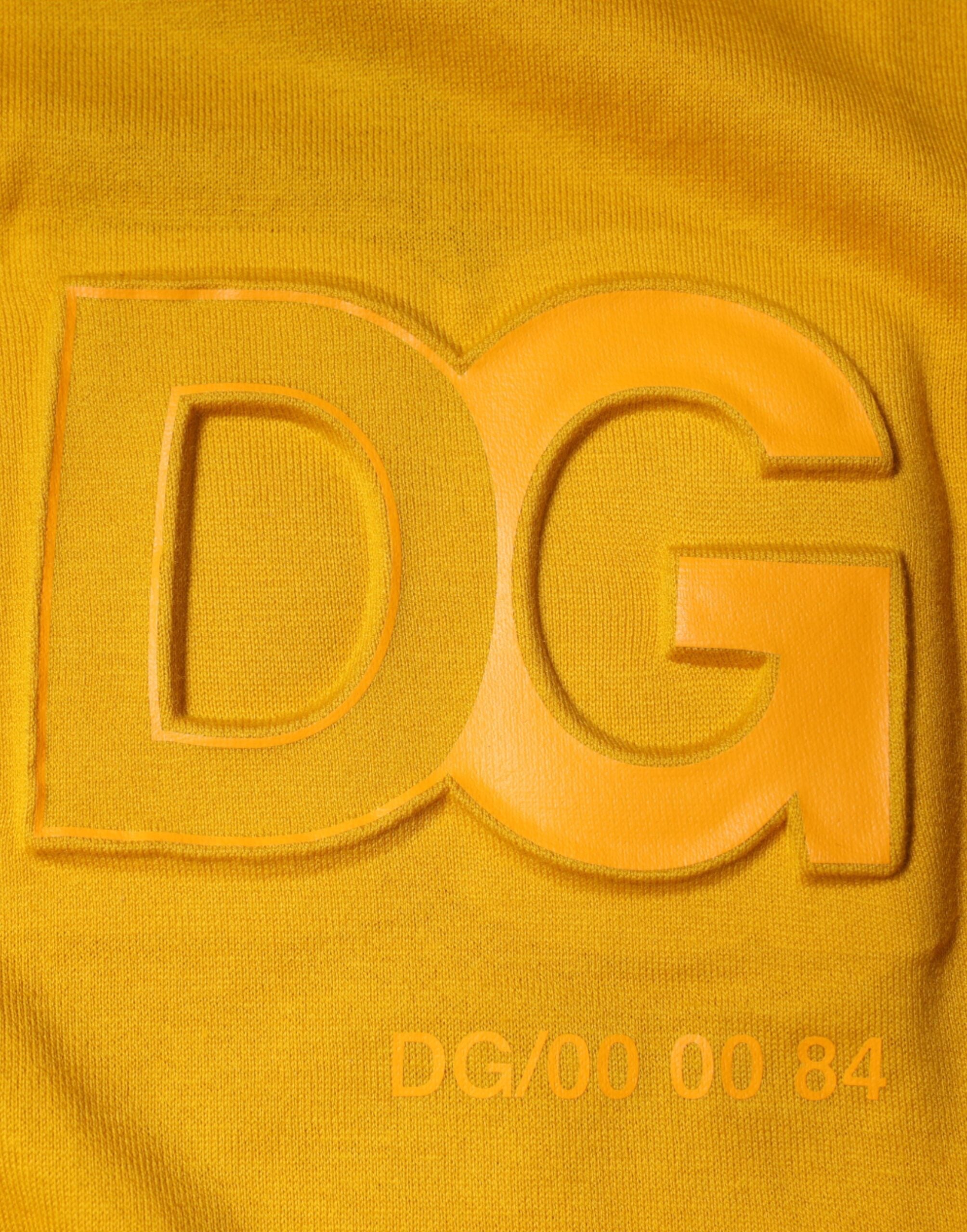 228629695.jpg