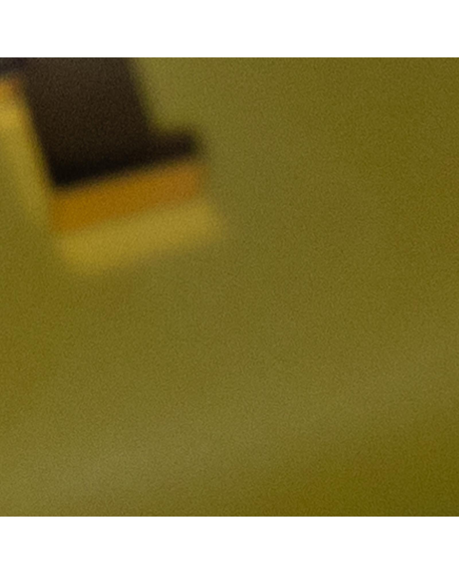 238454452.jpg