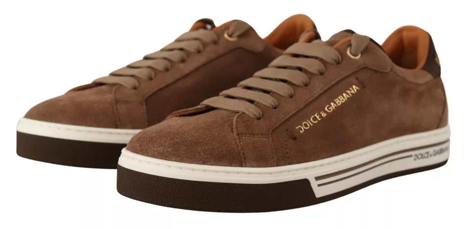 292928680.jpg