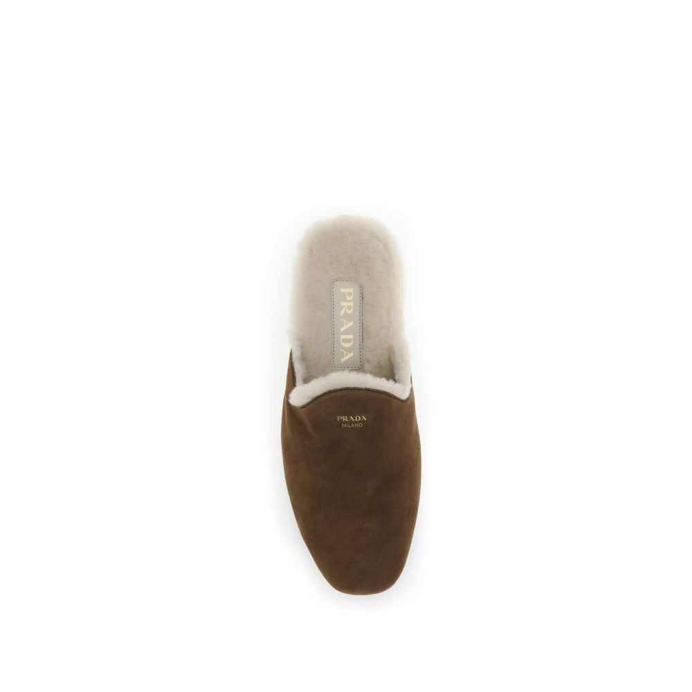 293030007.jpg
