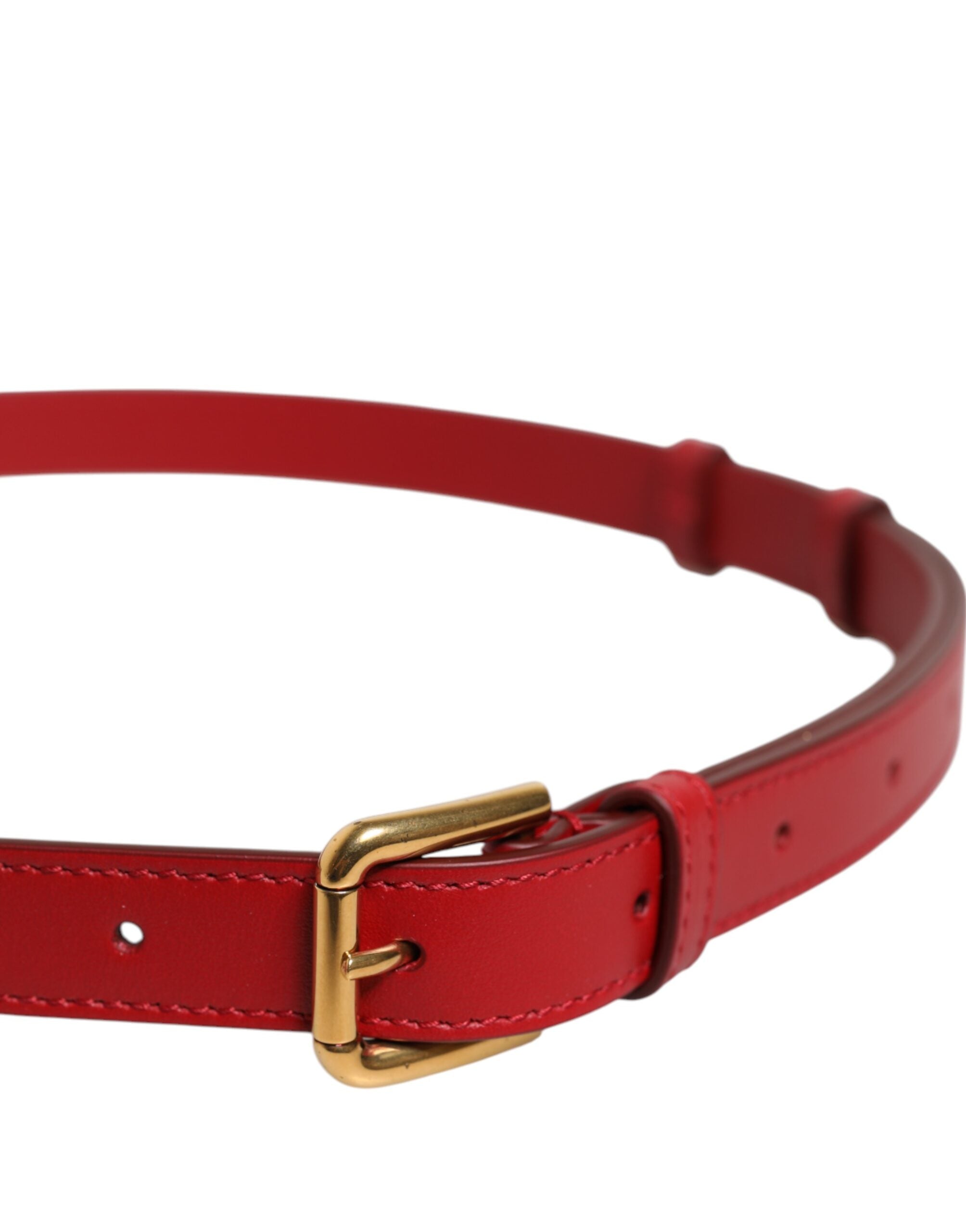 293108208.jpg