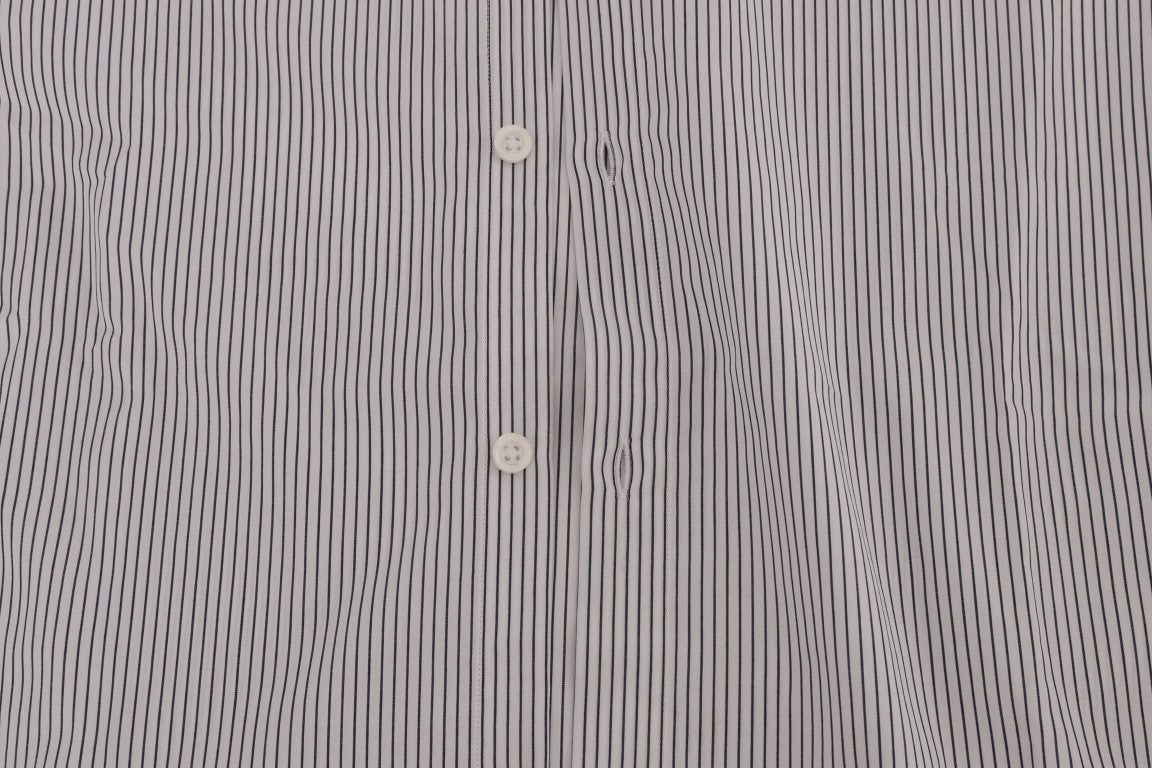 293123739.jpg
