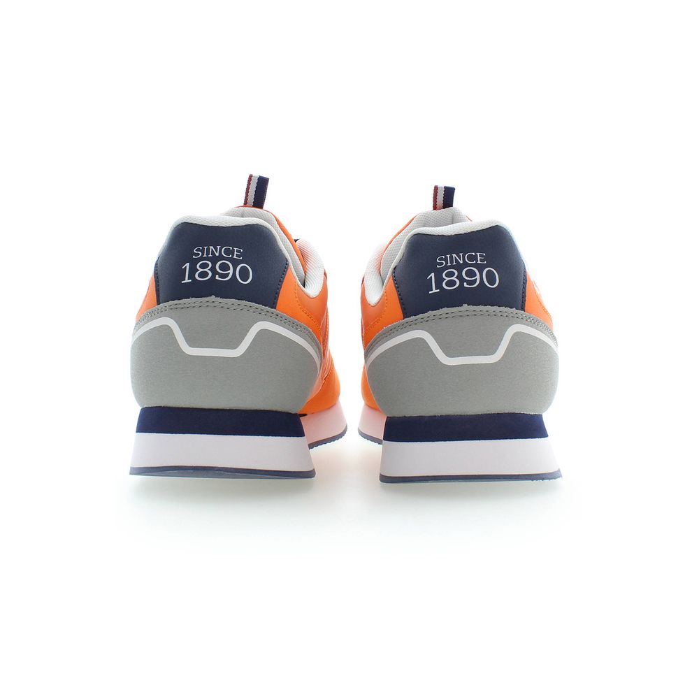 293128631.jpg