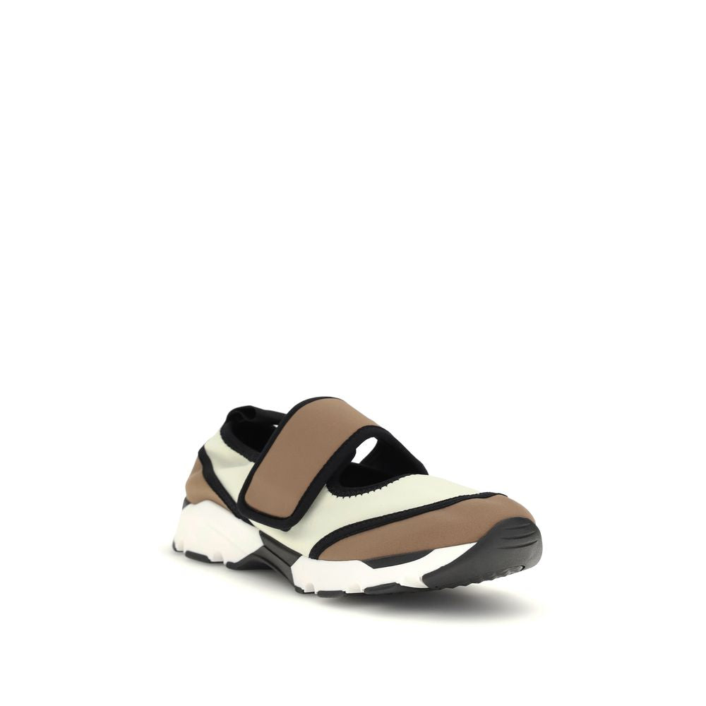 293204469.jpg