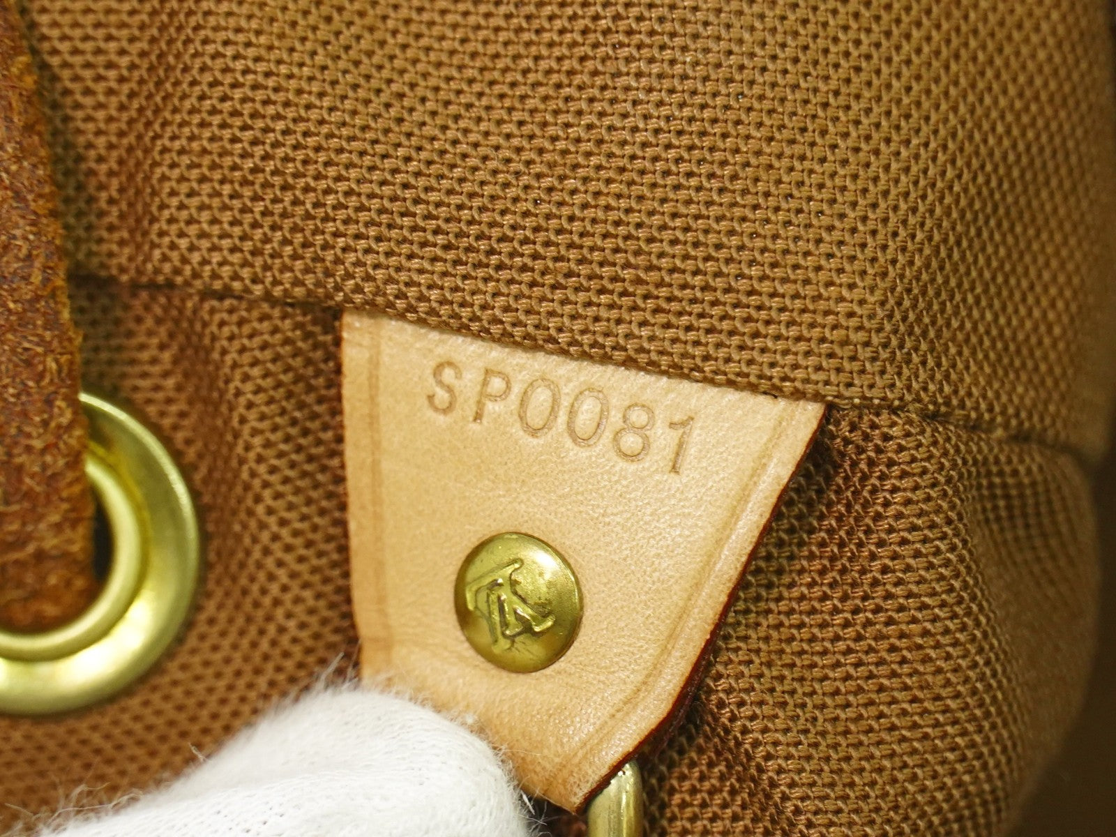 293239601.jpg
