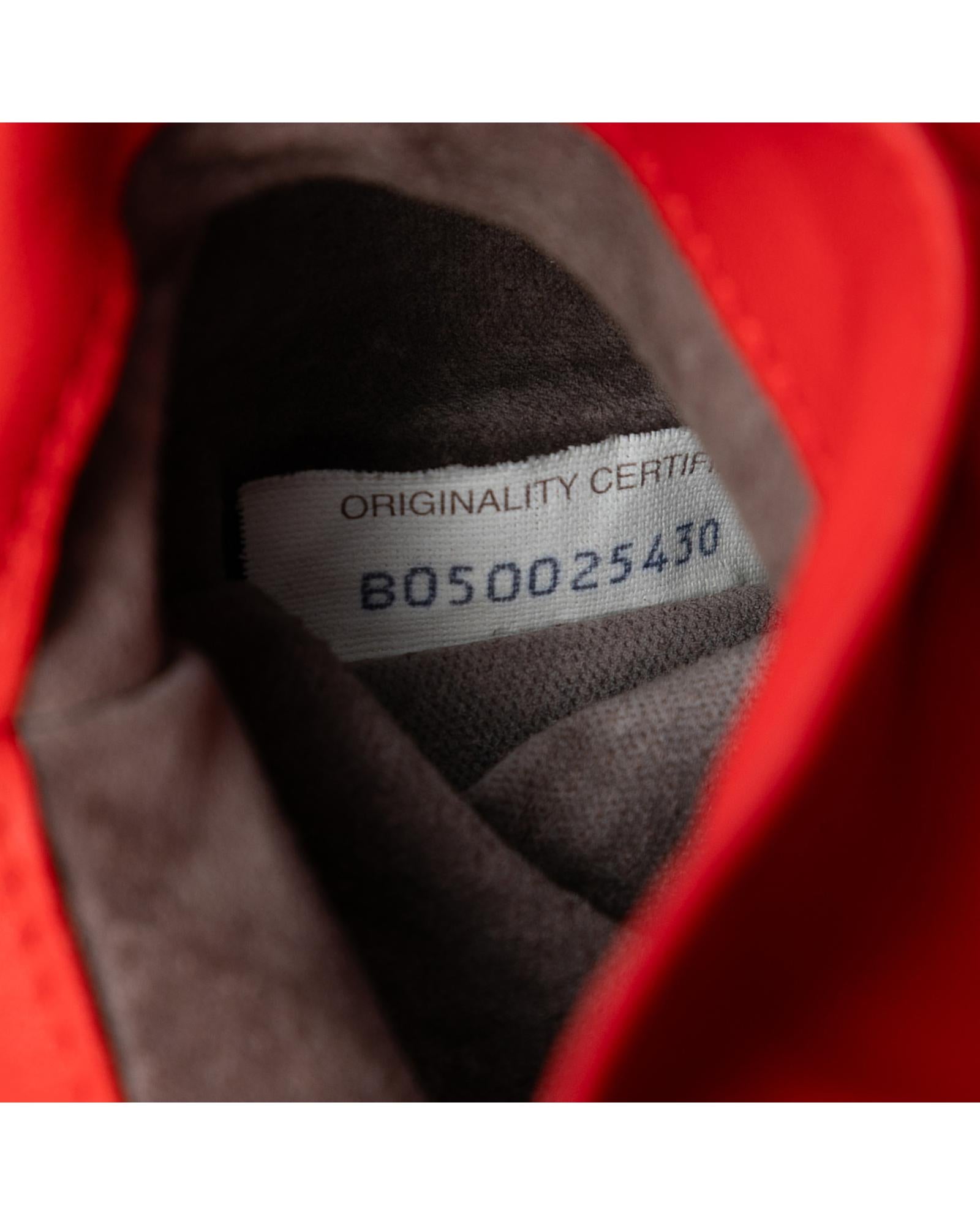 293448421.jpg