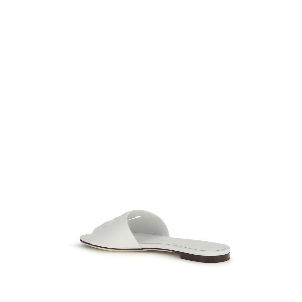 293701484.jpg