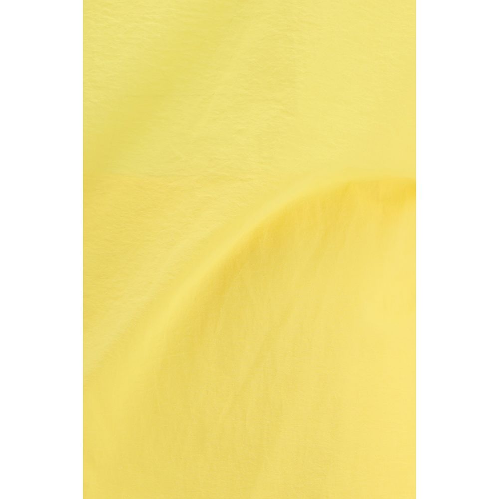 293702699.jpg