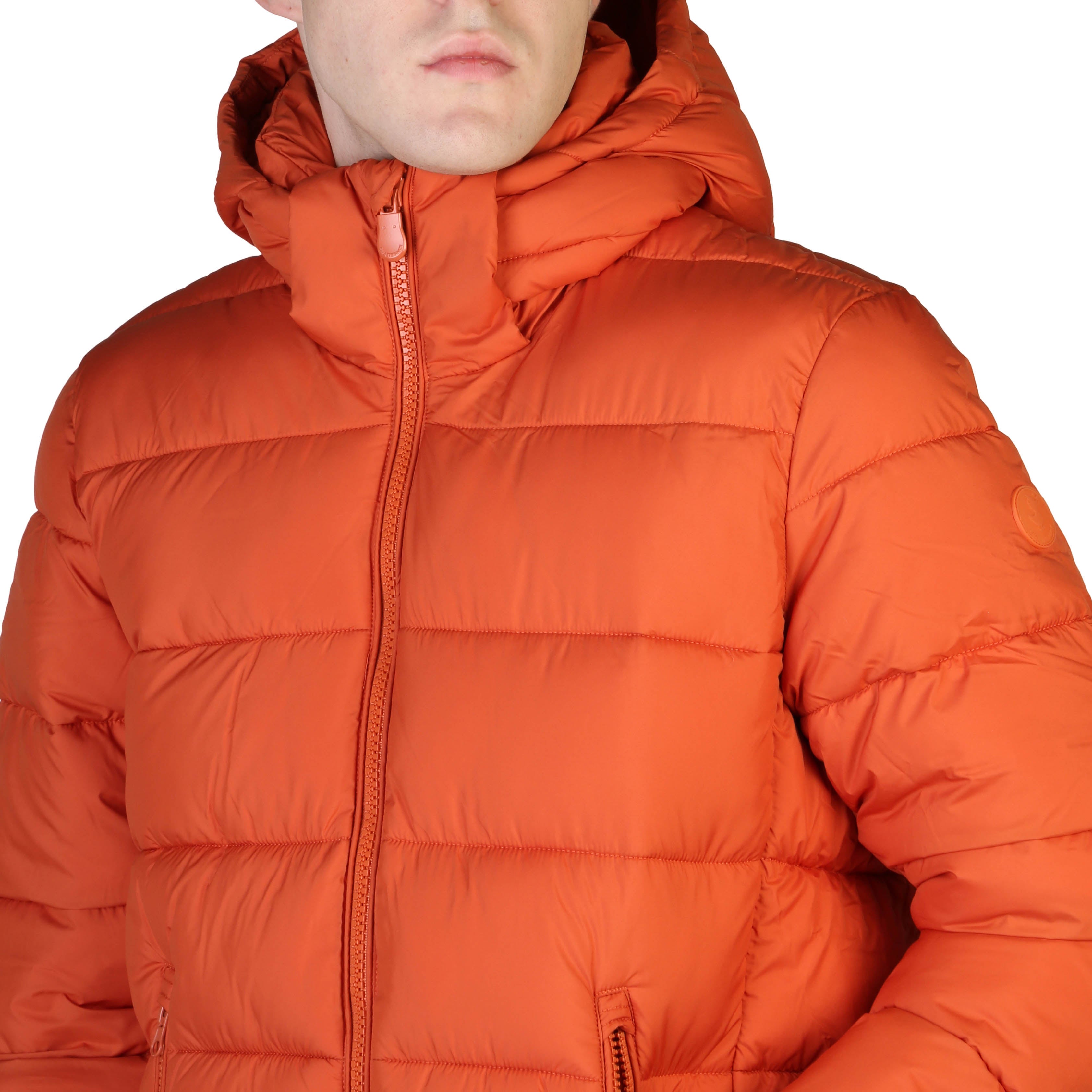 154558798.jpg