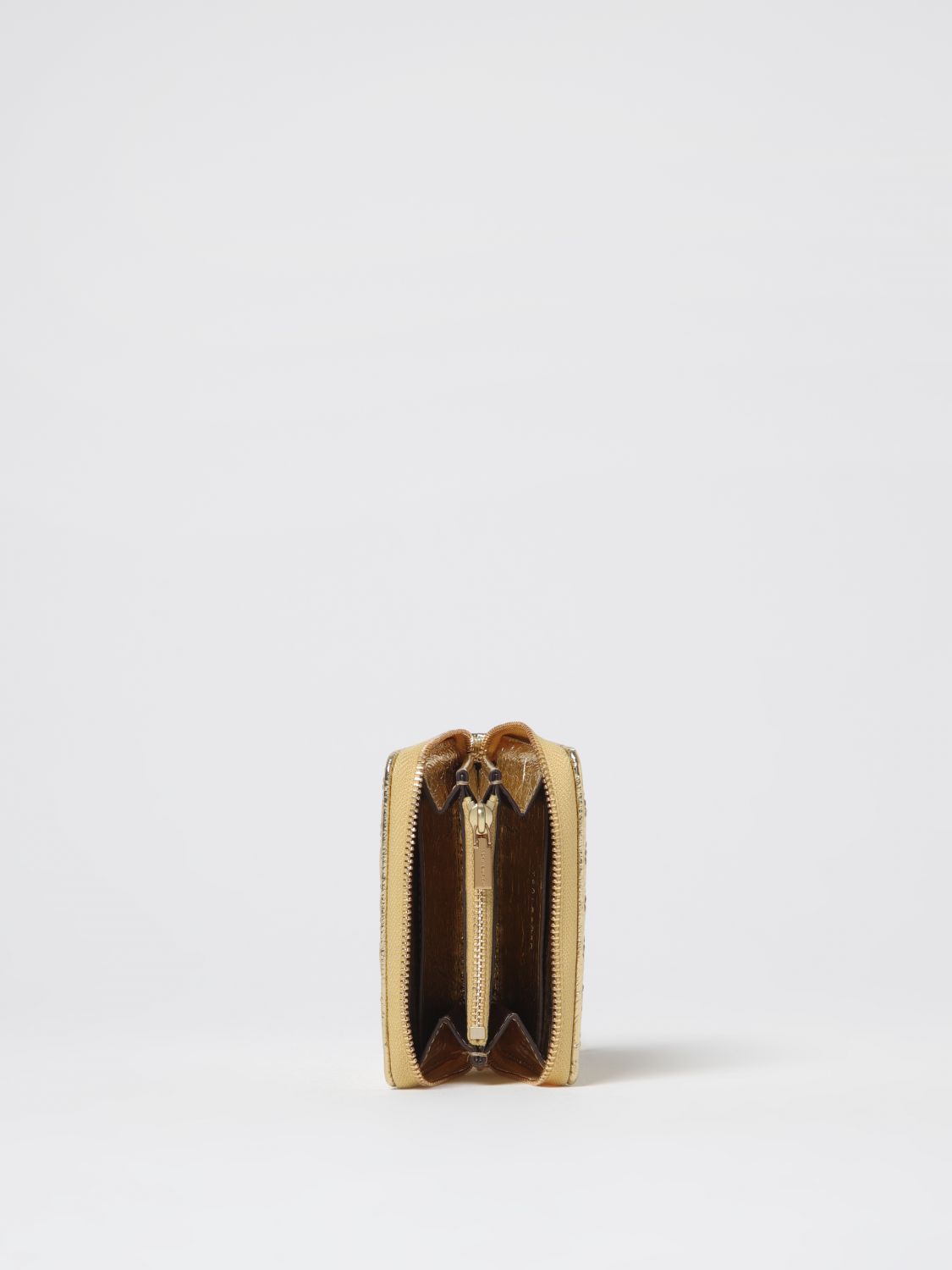 Robinson Metallic Mini Wallet Zip