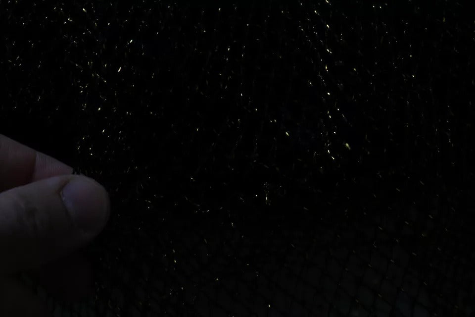 228611424.jpg