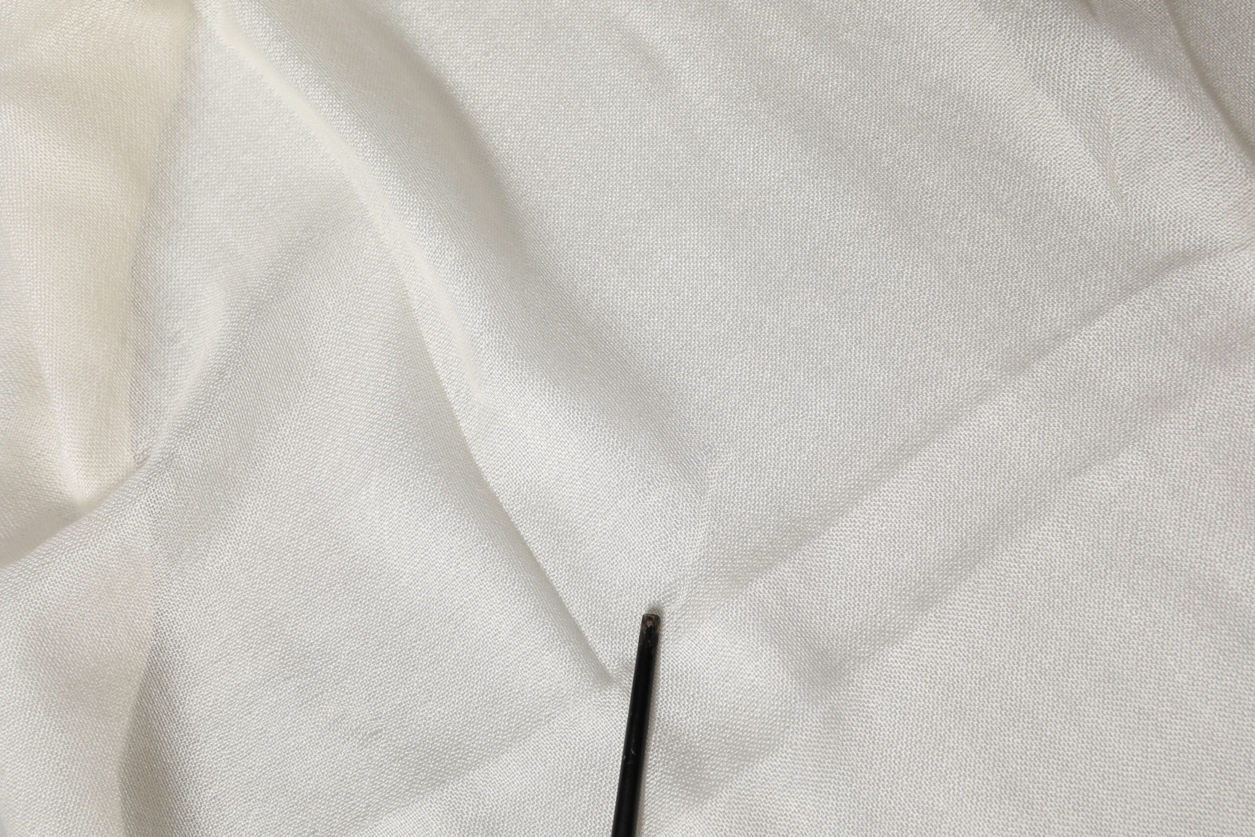 285083186.jpg