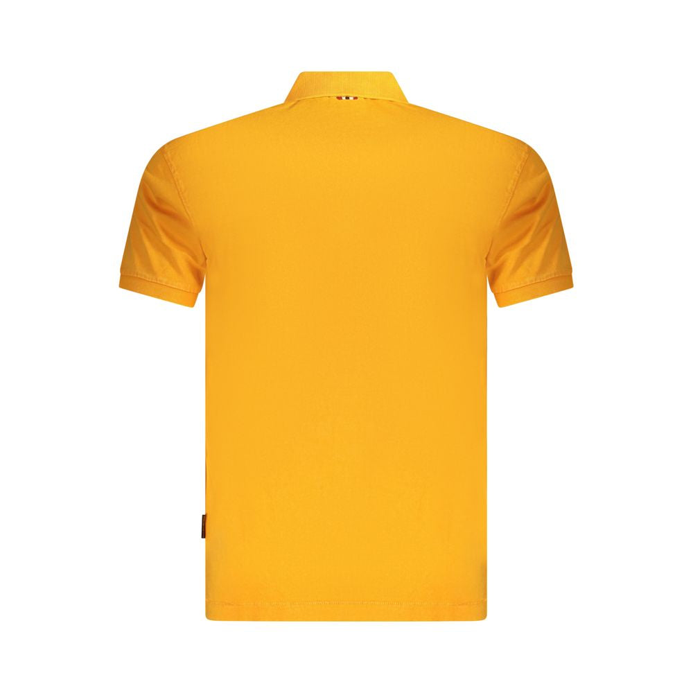 292906684.jpg