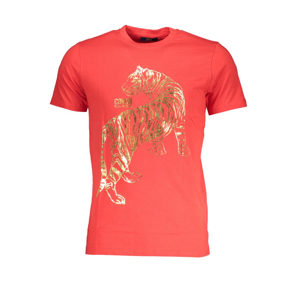 292911409.jpg