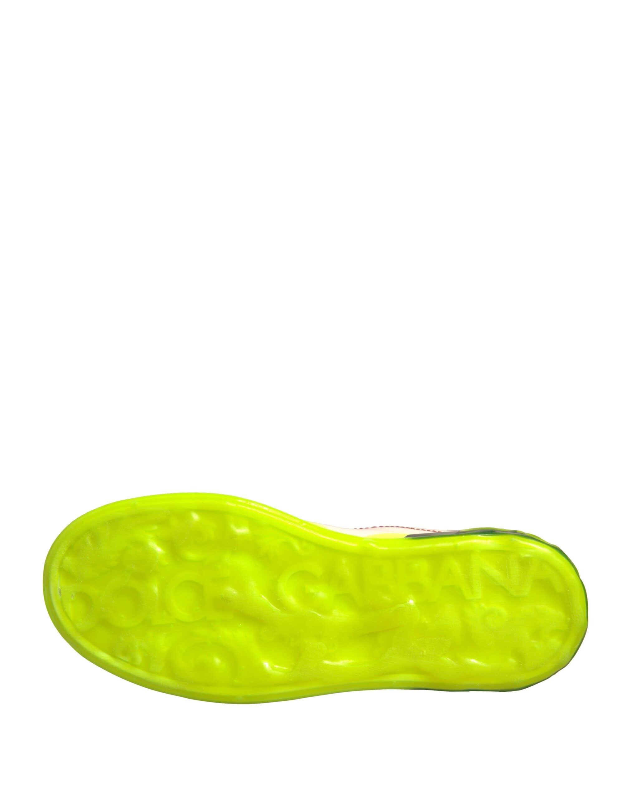293037065.jpg