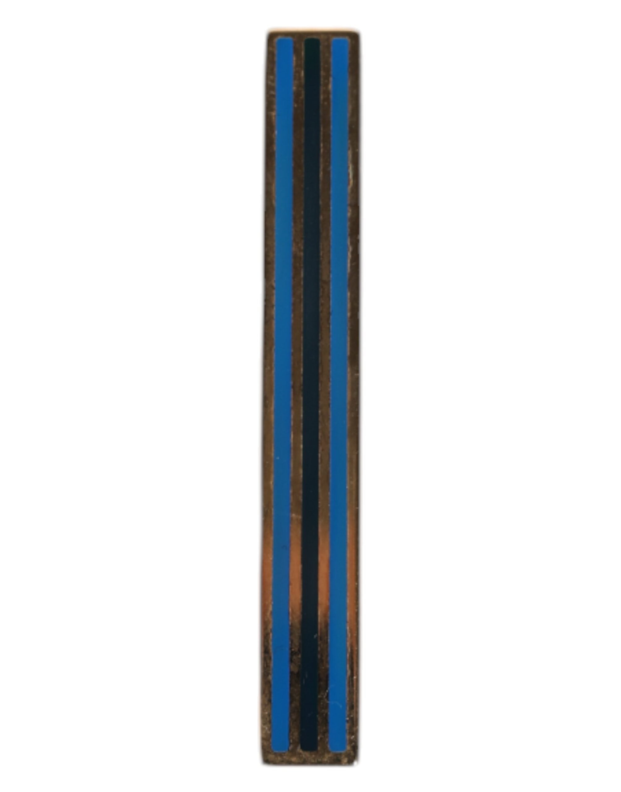 293100895.jpg