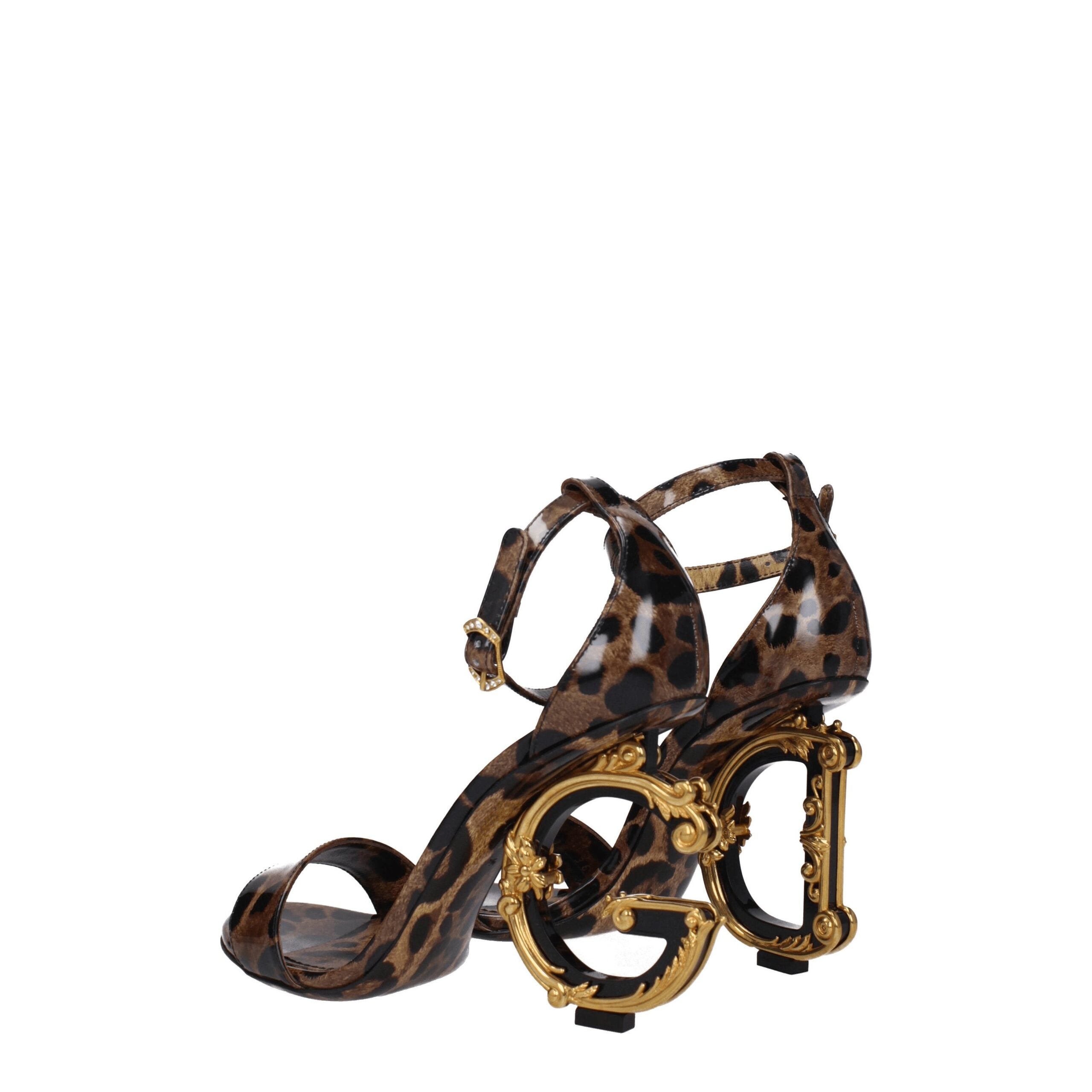 293112154.jpg