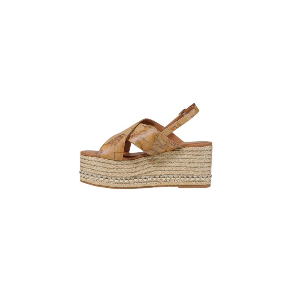 293172351.jpg