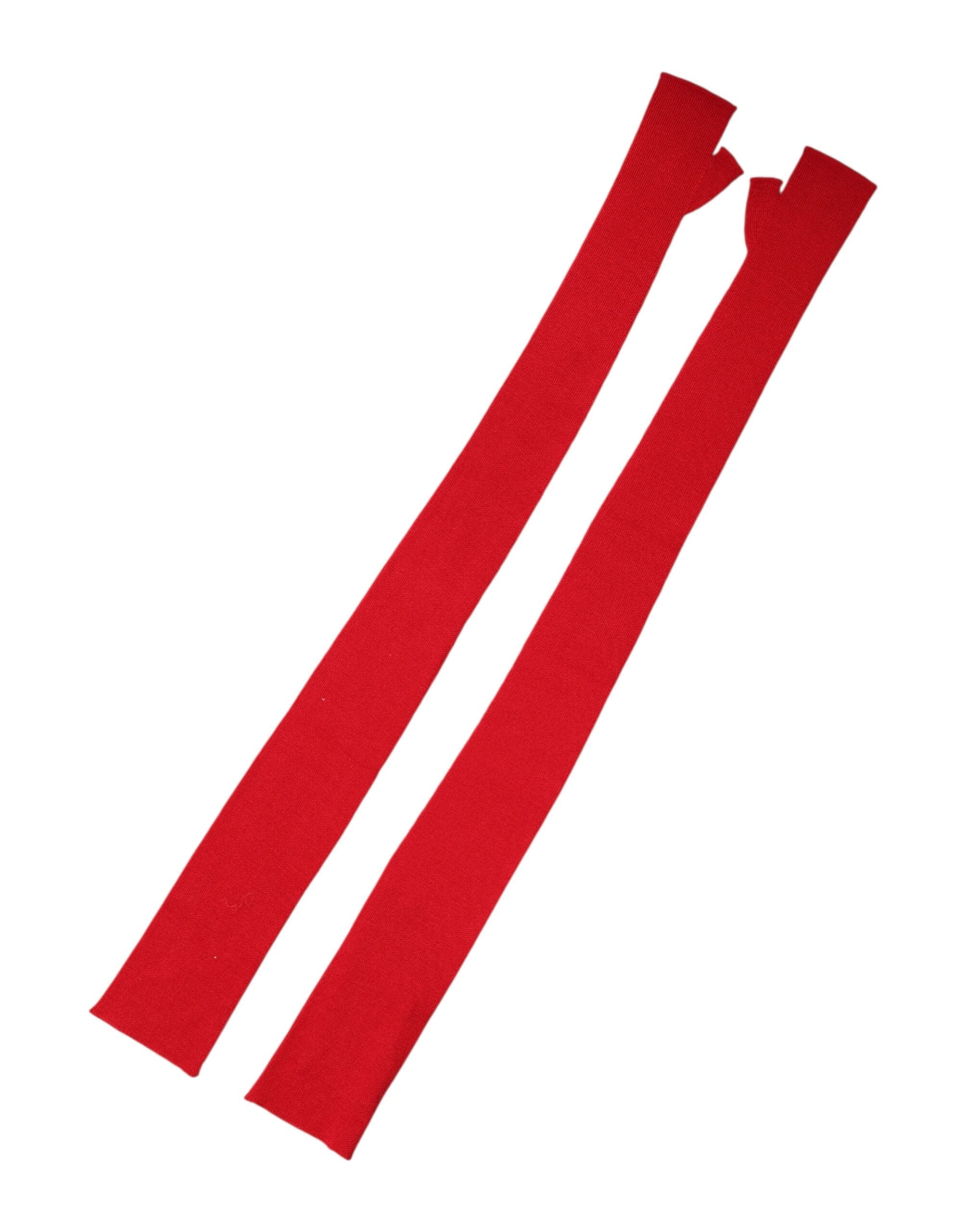 293185875.jpg