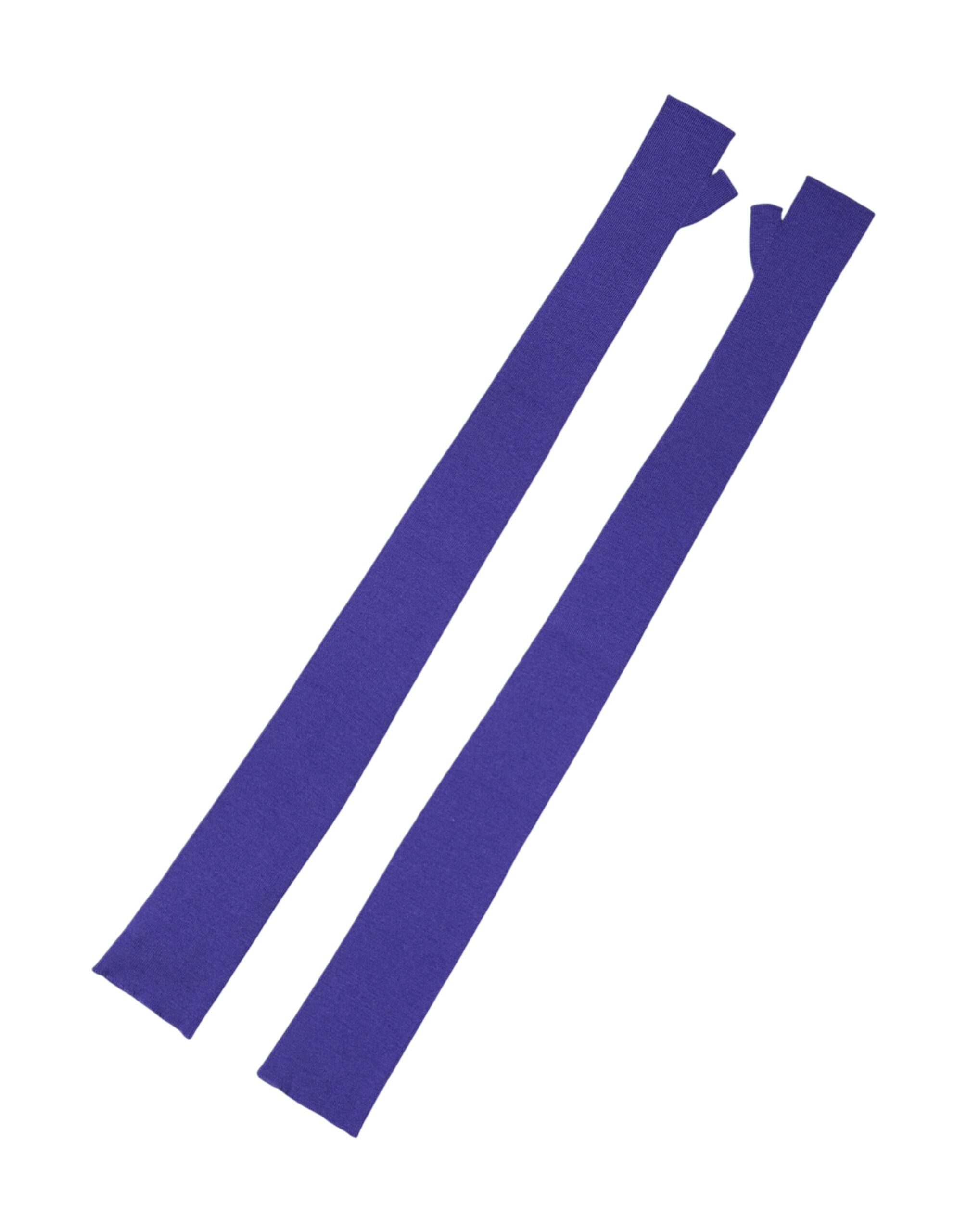 293186965.jpg