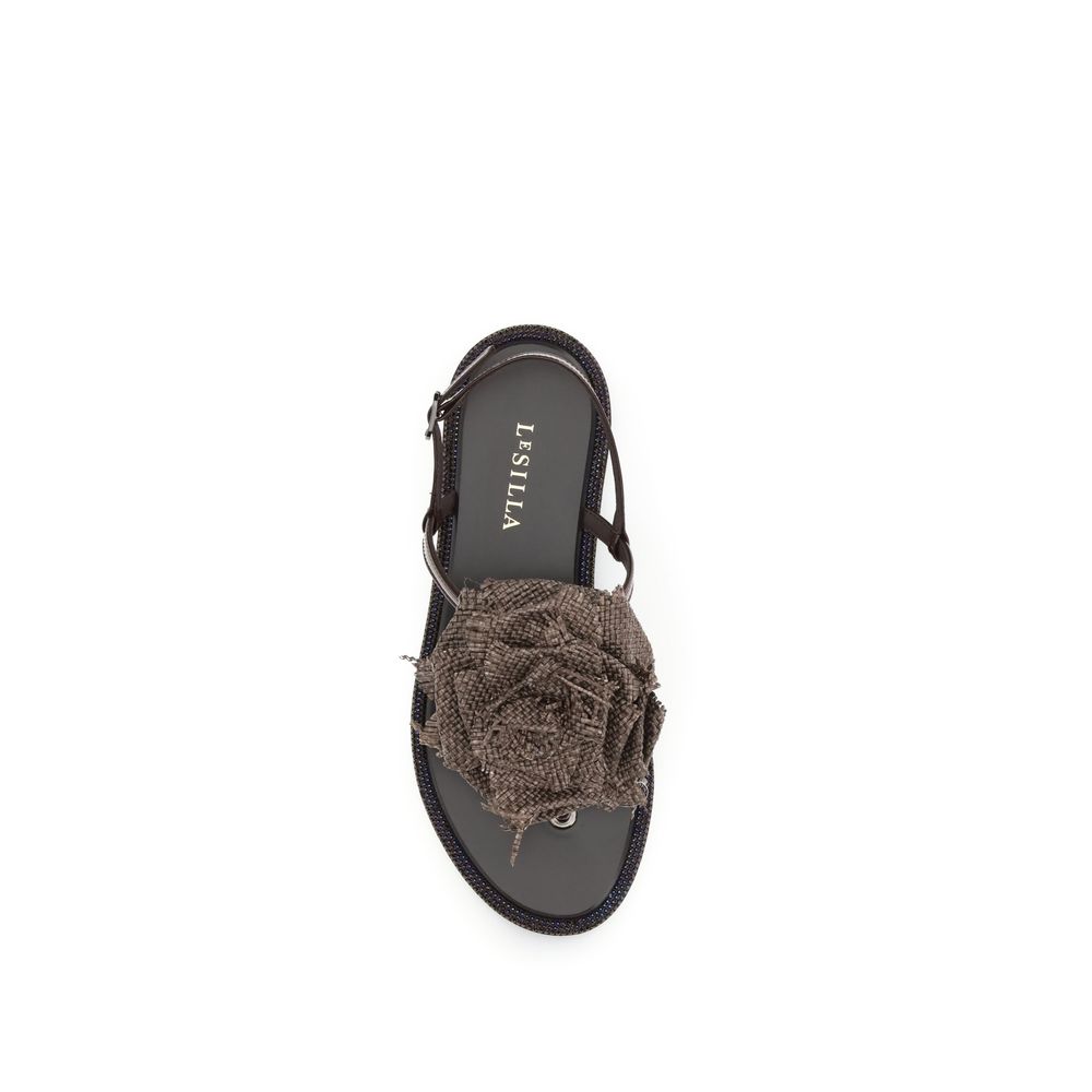 293192573.jpg