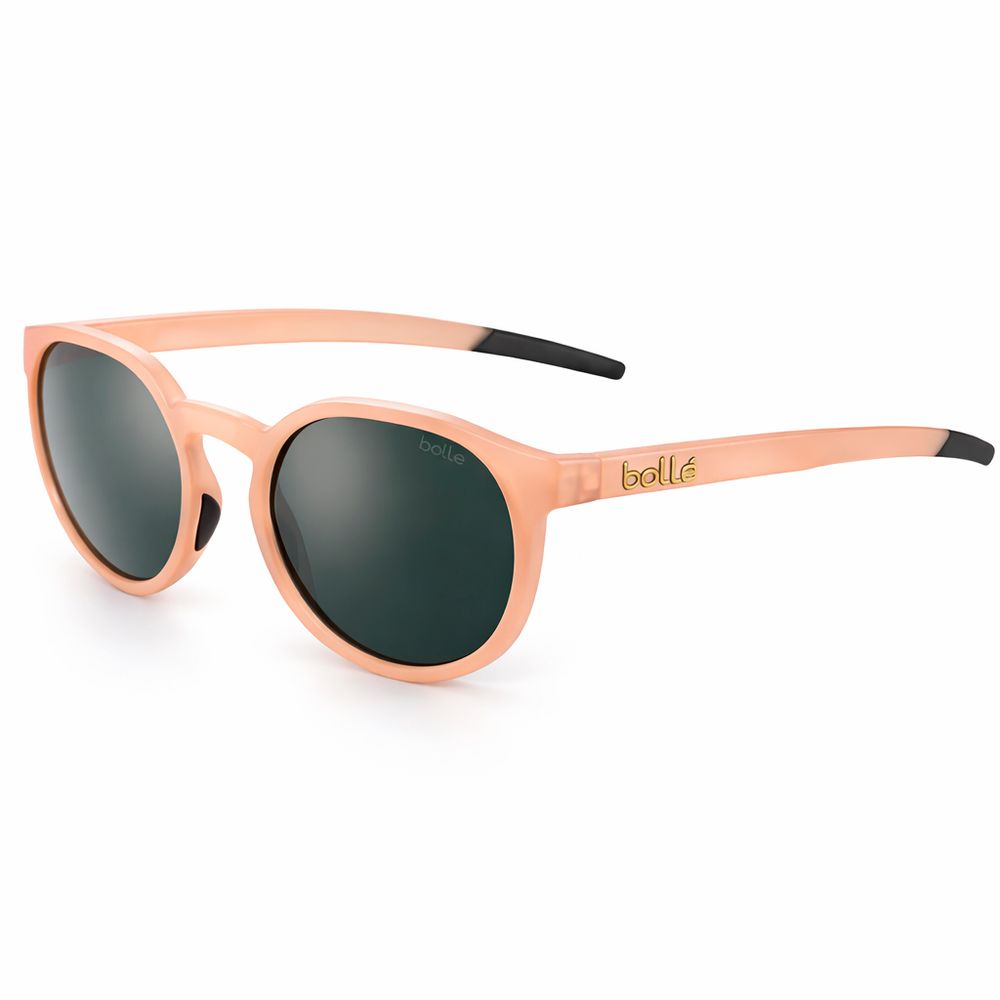 293199283.jpg
