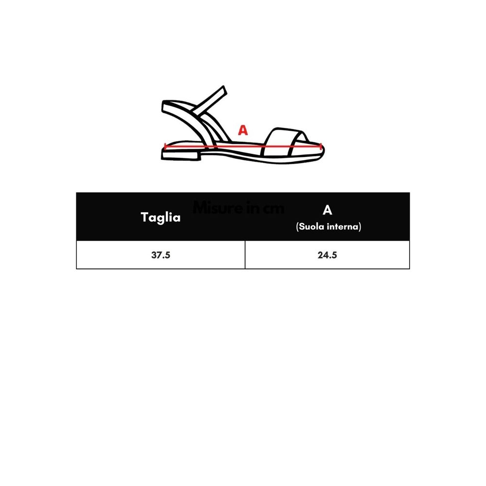 293211646.jpg