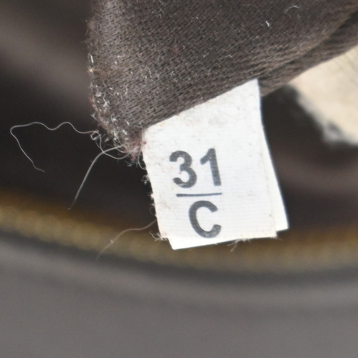293245450.jpg