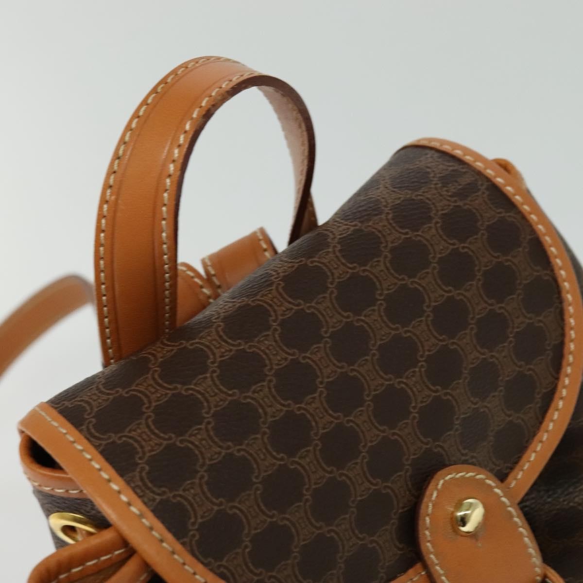 293246051.jpg