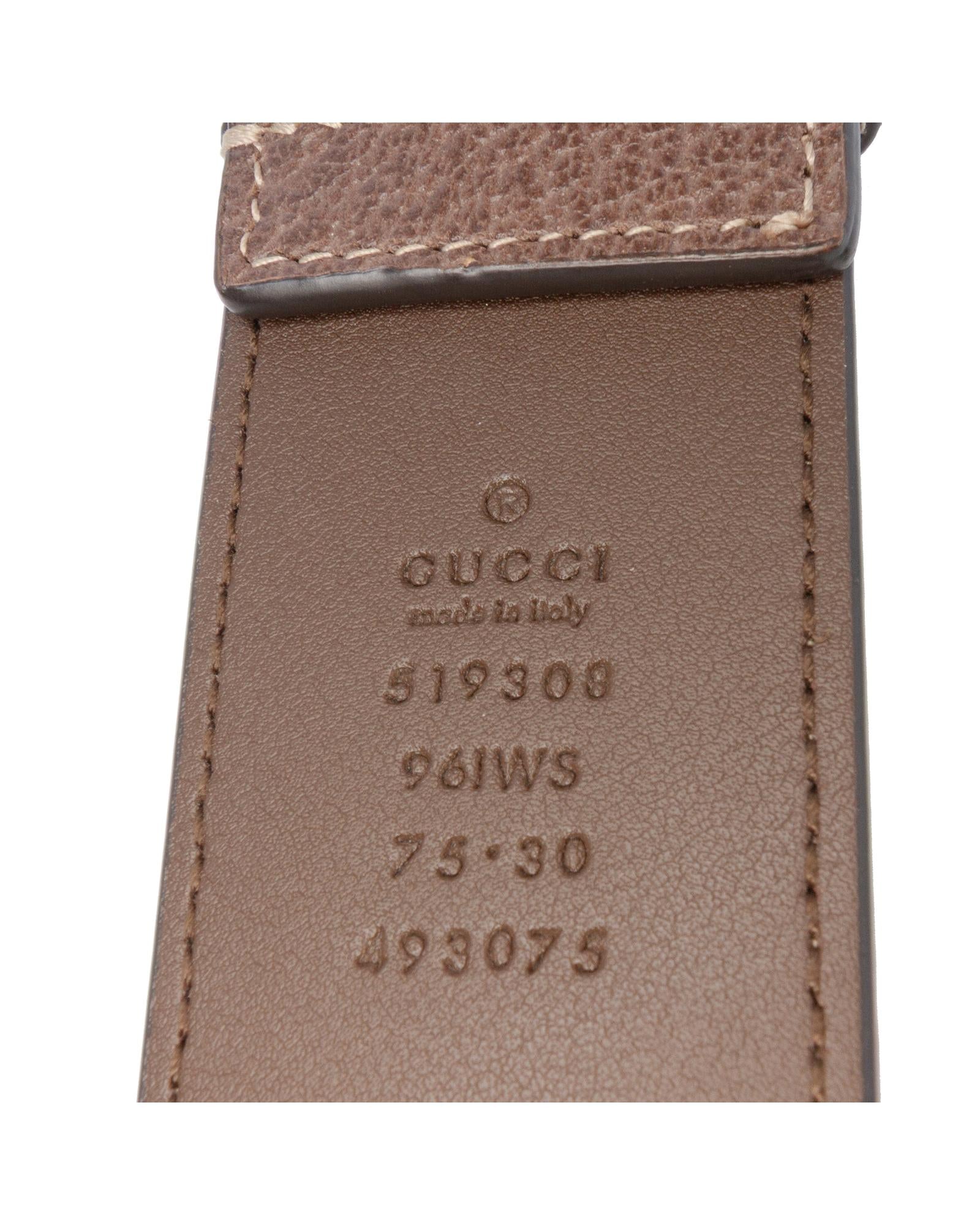 293393740.jpg