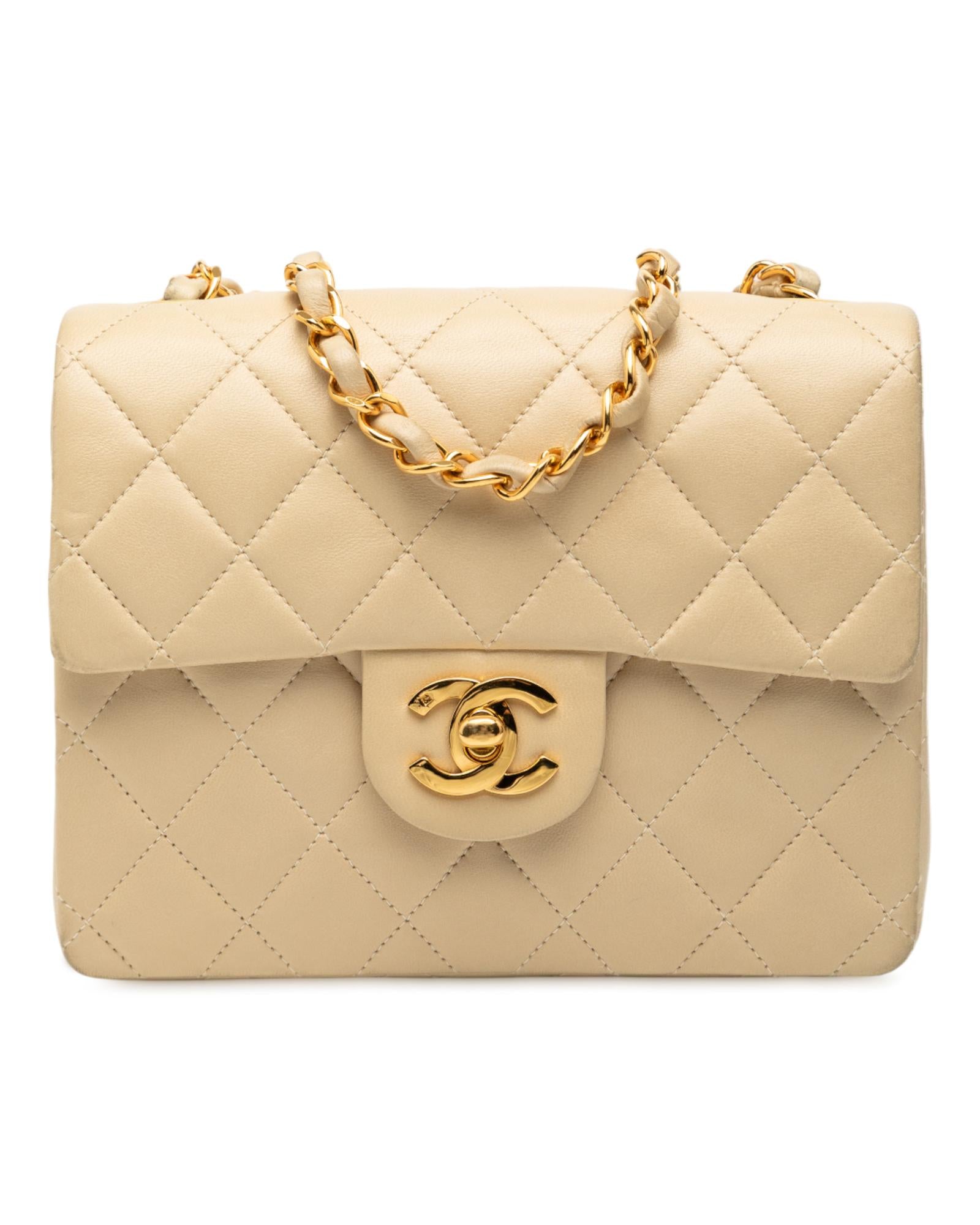 293404643.jpg