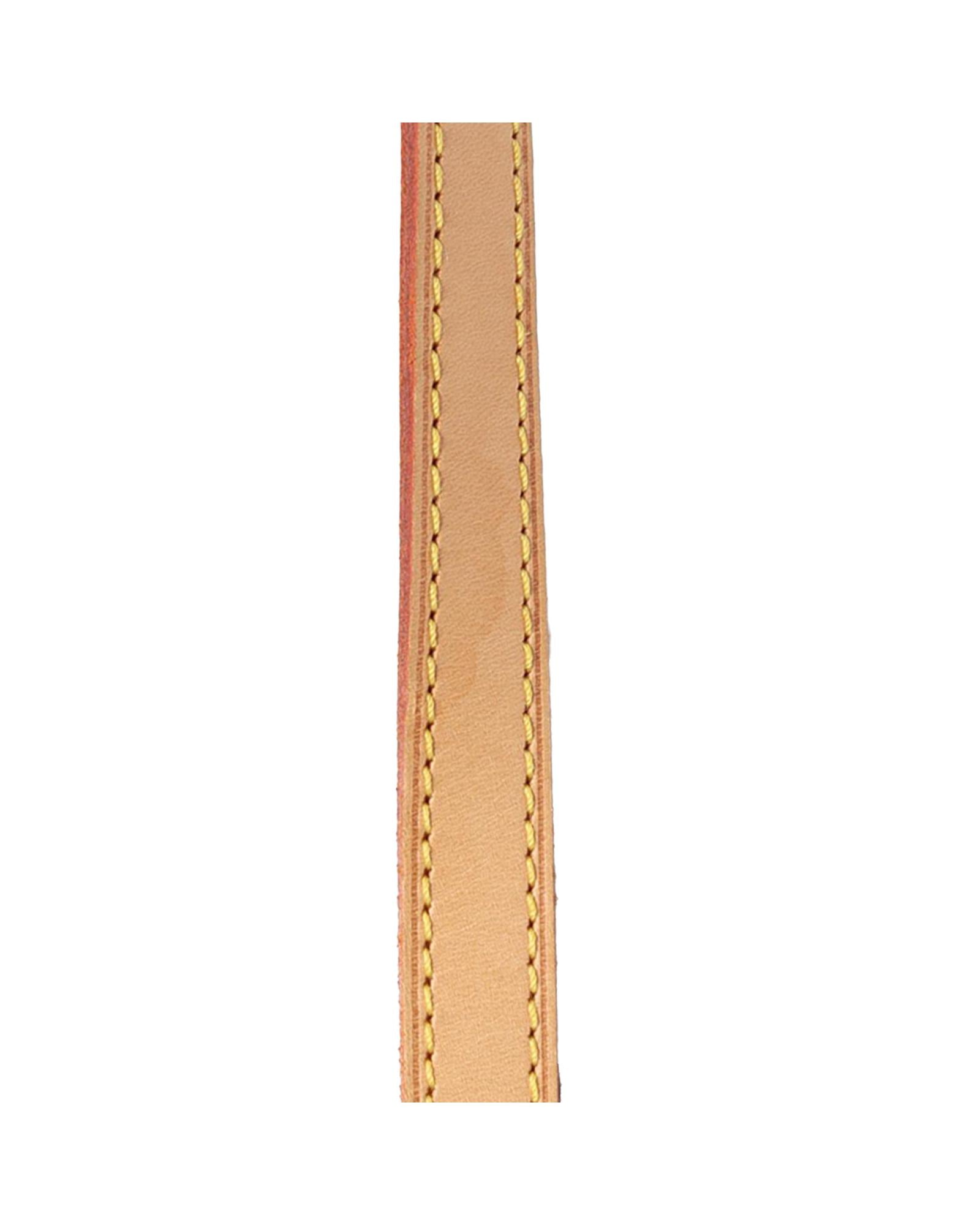 293462333.jpg