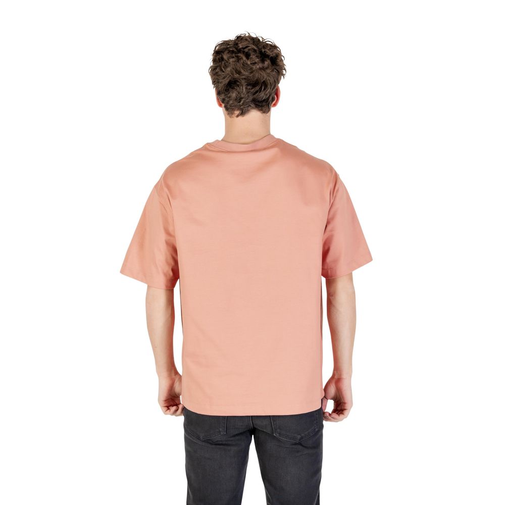 293700597.jpg