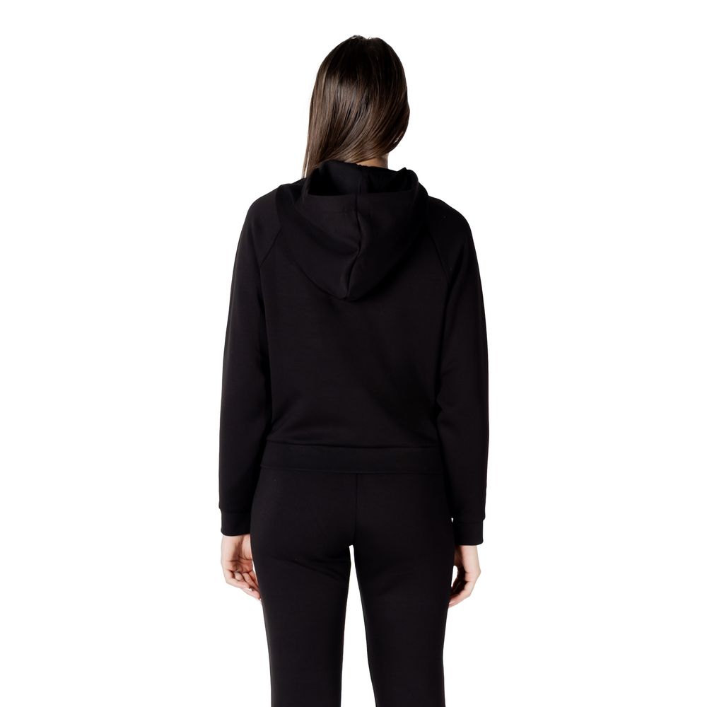 293704310.jpg