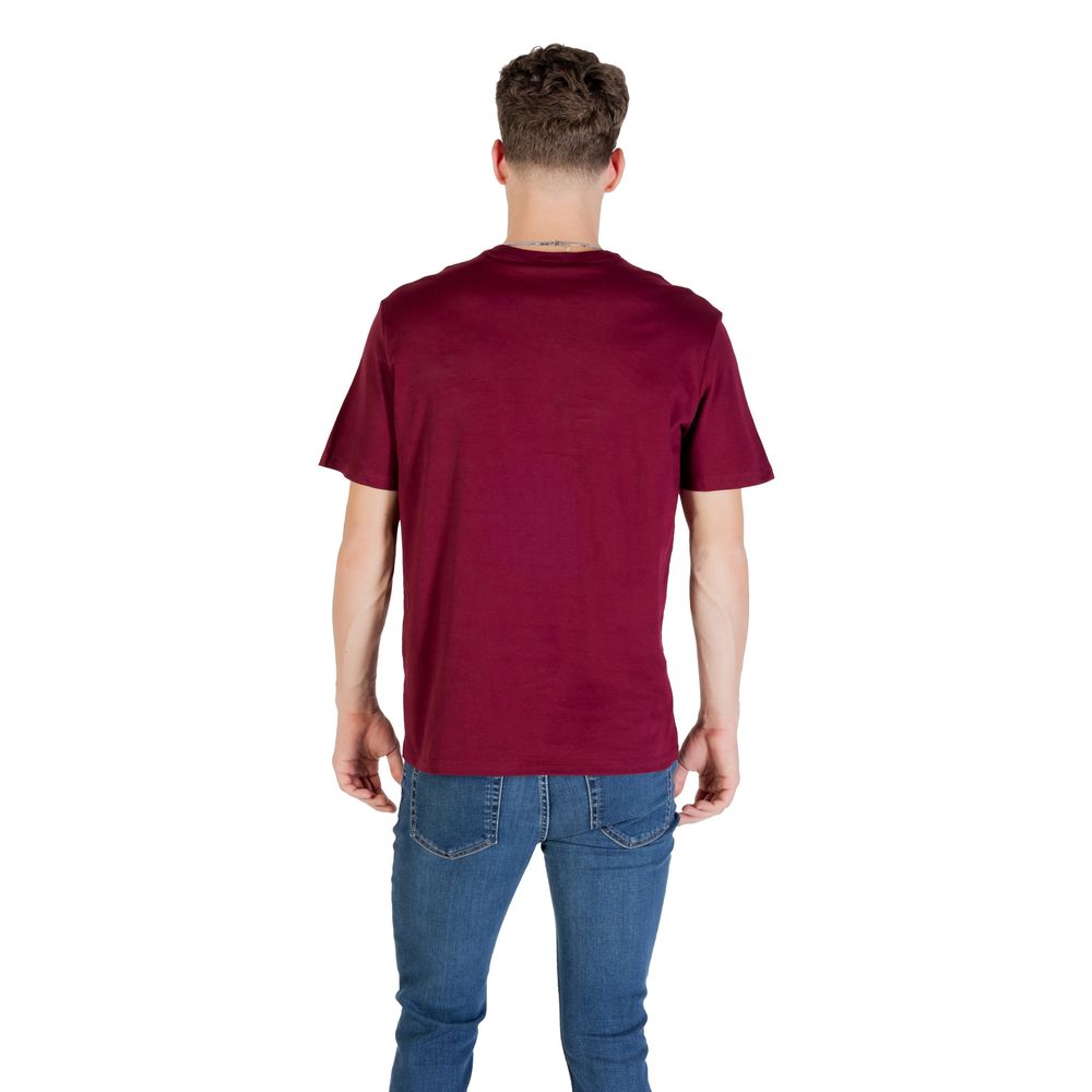 293705354.jpg