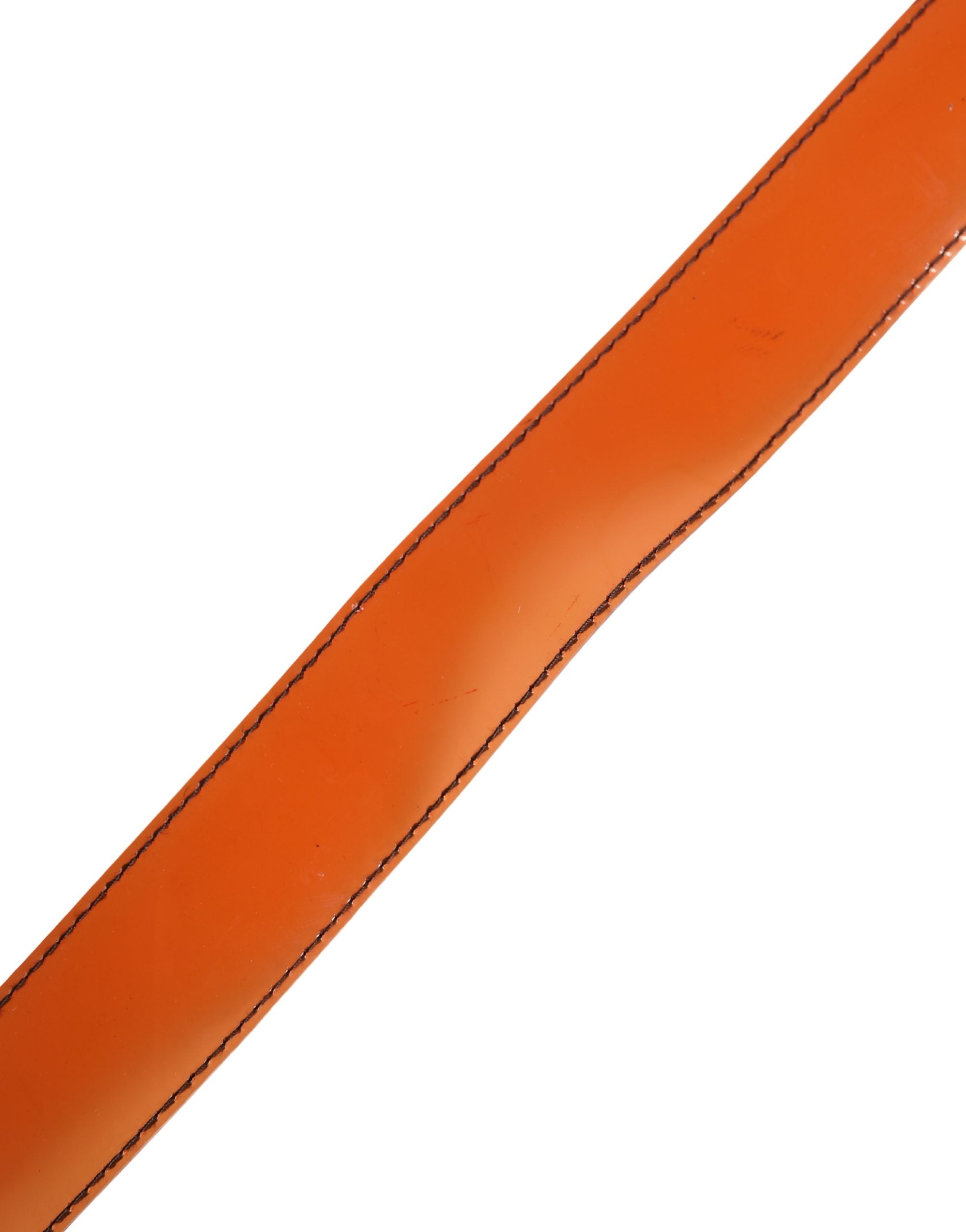 293708806.jpg