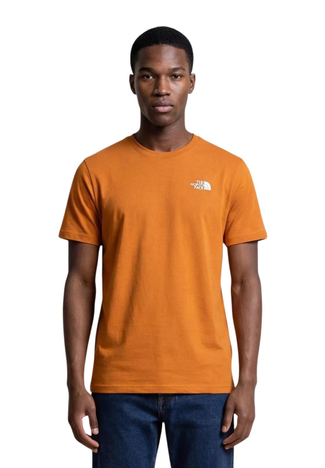 294829759.jpg