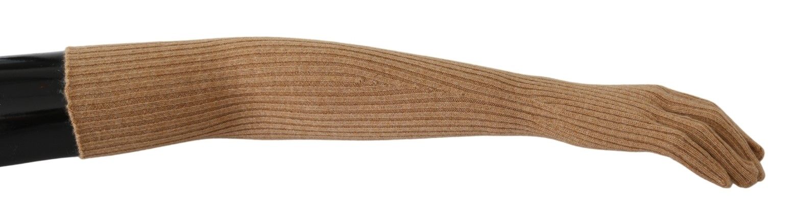304947569.jpg