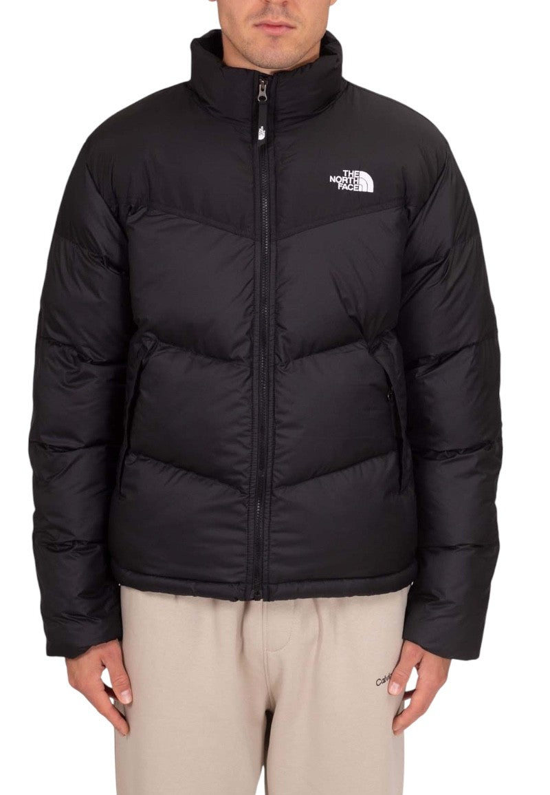 491830_1_P.jpg